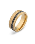 METEORITE MENS RING